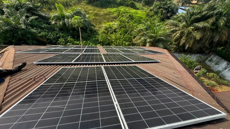 Aerial view of a completed rooftop array surrounded by palm trees